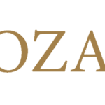 hozanas multi vendor ecommerce platform, b2b multi vendor marketplace, shopify multi vendor marketplace, multi vendor marketplace shopify, Hozanas christian marketplace