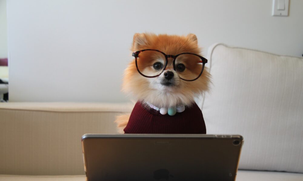 6 HIGH-INCOME SKILLS YOU SHOULD LEARN NOW